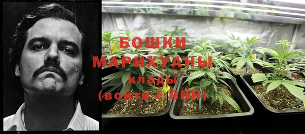 стафф Беломорск