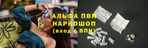 стафф Беломорск